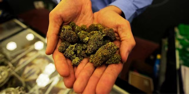 Marijuana epidemic poses more risks to the U.S. and Canada